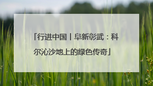 行进中国丨阜新彰武：科尔沁沙地上的绿色传奇