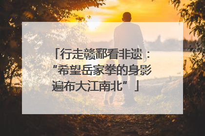 行走赣鄱看非遗：“希望岳家拳的身影遍布大江南北”