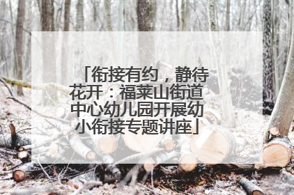 衔接有约，静待花开：福莱山街道中心幼儿园开展幼小衔接专题讲座