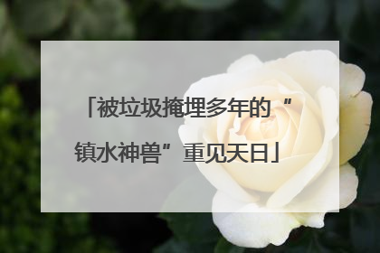 被垃圾掩埋多年的“镇水神兽”重见天日