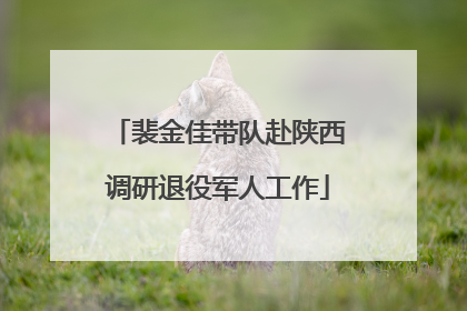 裴金佳带队赴陕西调研退役军人工作