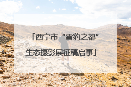 西宁市“雪豹之都”生态摄影展征稿启事