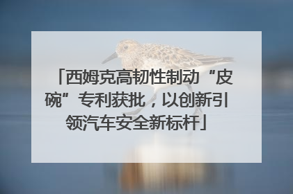 西姆克高韧性制动“皮碗”专利获批，以创新引领汽车安全新标杆