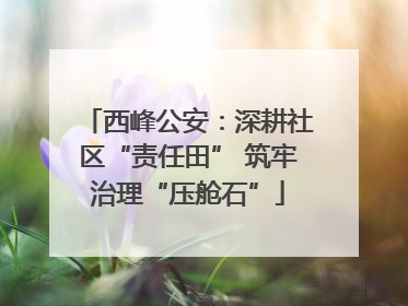 西峰公安：深耕社区“责任田” 筑牢治理“压舱石”