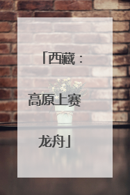 西藏：高原上赛龙舟