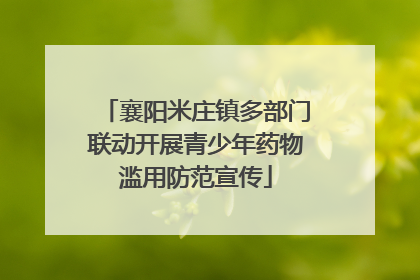 襄阳米庄镇多部门联动开展青少年药物滥用防范宣传