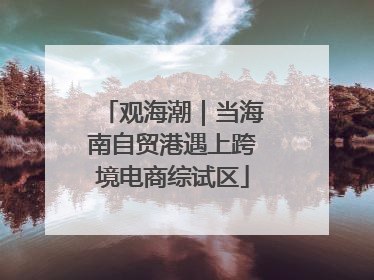 观海潮｜当海南自贸港遇上跨境电商综试区