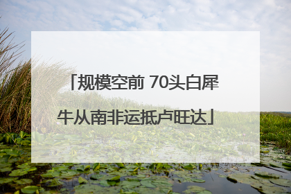 规模空前 70头白犀牛从南非运抵卢旺达