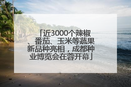 近3000个辣椒、番茄、玉米等蔬果新品种亮相，成都种业博览会在蓉开幕