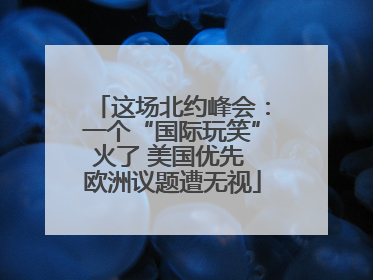 这场北约峰会：一个“国际玩笑”火了 美国优先 欧洲议题遭无视