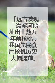 远古发现｜濛溪河遗址出土数万年前核桃，我国先民食用核桃历史大幅提前