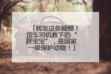 转发这条鲮鲤！货车司机救下的“胖宝宝”，是国家一级保护动物！