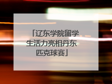 辽东学院留学生活力亮相丹东匹克球赛