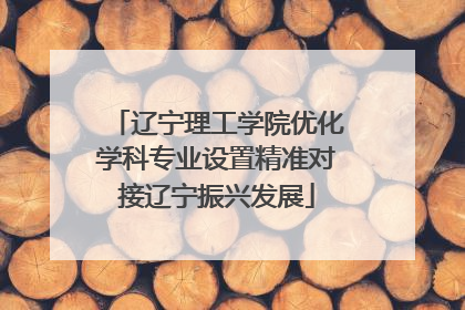 辽宁理工学院优化学科专业设置精准对接辽宁振兴发展
