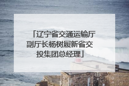 辽宁省交通运输厅副厅长杨树履新省交投集团总经理