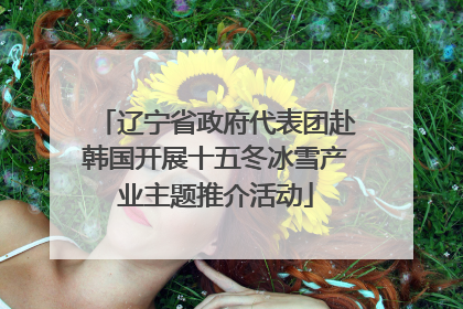 辽宁省政府代表团赴韩国开展十五冬冰雪产业主题推介活动