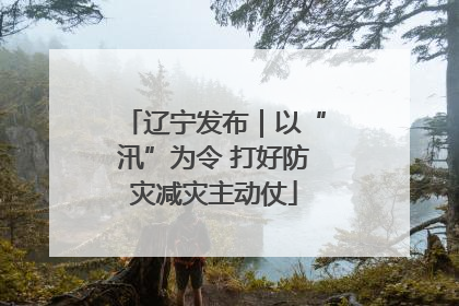 辽宁发布｜以“汛”为令 打好防灾减灾主动仗