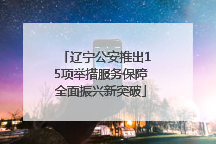 辽宁公安推出15项举措服务保障全面振兴新突破
