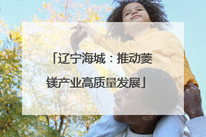 辽宁海城：推动菱镁产业高质量发展