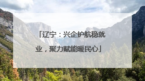 辽宁：兴企护航稳就业，聚力赋能暖民心