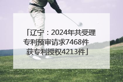 辽宁：2024年共受理专利预审请求7468件 获专利授权4213件