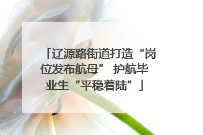 辽源路街道打造“岗位发布航母” 护航毕业生“平稳着陆”
