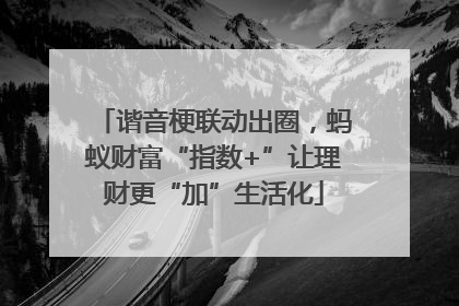 谐音梗联动出圈，蚂蚁财富“指数+”让理财更“加”生活化