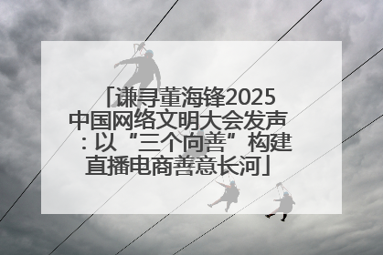 谦寻董海锋2025中国网络文明大会发声：以“三个向善”构建直播电商善意长河