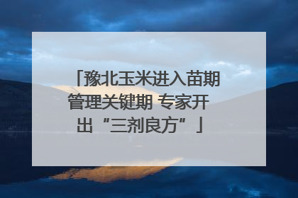 豫北玉米进入苗期管理关键期 专家开出“三剂良方”