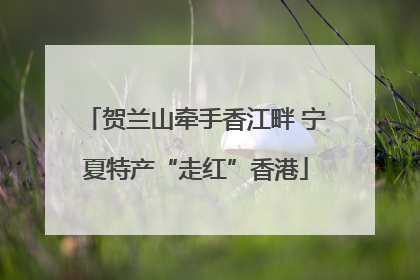 贺兰山牵手香江畔 宁夏特产“走红”香港