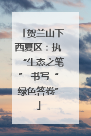 贺兰山下西夏区：执“生态之笔” 书写“绿色答卷”