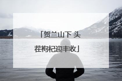 贺兰山下 头茬枸杞迎丰收