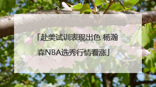 赴美试训表现出色 杨瀚森NBA选秀行情看涨