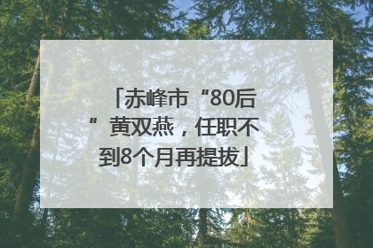 赤峰市“80后”黄双燕，任职不到8个月再提拔