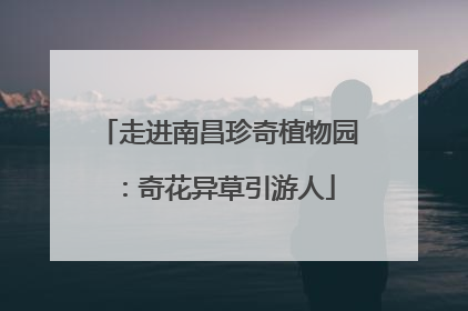 走进南昌珍奇植物园：奇花异草引游人