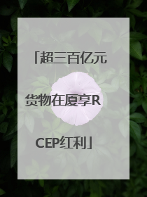 超三百亿元货物在厦享RCEP红利