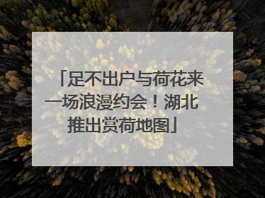 足不出户与荷花来一场浪漫约会！湖北推出赏荷地图