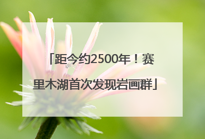 距今约2500年！赛里木湖首次发现岩画群