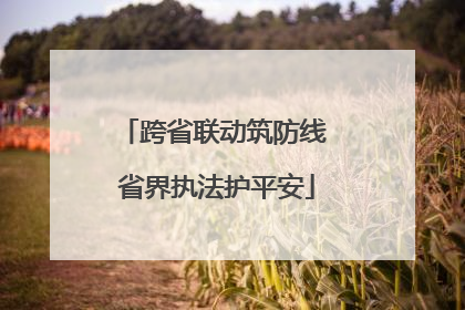 跨省联动筑防线 省界执法护平安