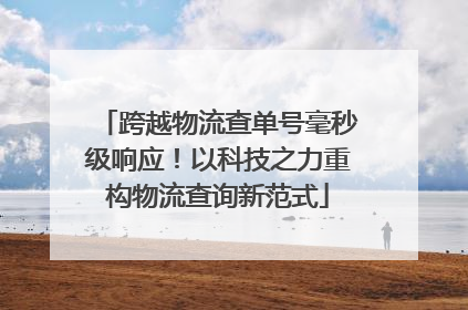跨越物流查单号毫秒级响应！以科技之力重构物流查询新范式