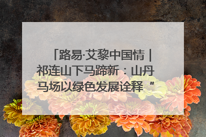 路易·艾黎中国情｜祁连山下马蹄新：山丹马场以绿色发展诠释“两山”理论实践