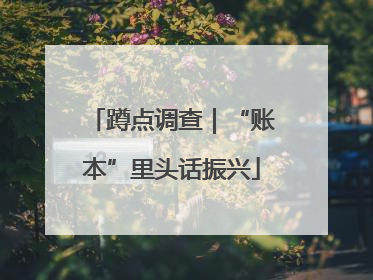 蹲点调查｜“账本”里头话振兴