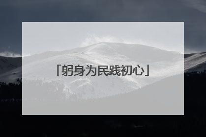 躬身为民践初心