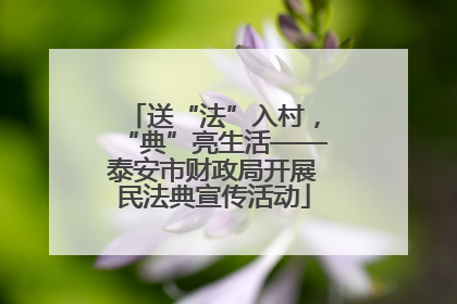 送“法”入村，“典”亮生活——泰安市财政局开展民法典宣传活动