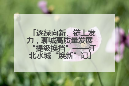 逐绿向新、链上发力，聊城高质量发展“提级换挡”——江北水城“焕新”记