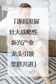 遂昌发展壮大战略性新兴产业 龙头引领 集群共进