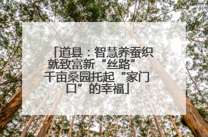 道县：智慧养蚕织就致富新“丝路” 千亩桑园托起“家门口”的幸福