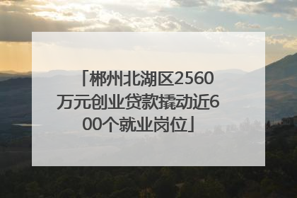 郴州北湖区2560万元创业贷款撬动近600个就业岗位