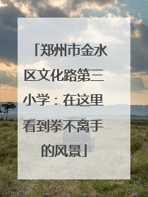 郑州市金水区文化路第三小学：在这里看到拳不离手的风景