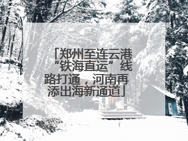 郑州至连云港“铁海直运”线路打通，河南再添出海新通道